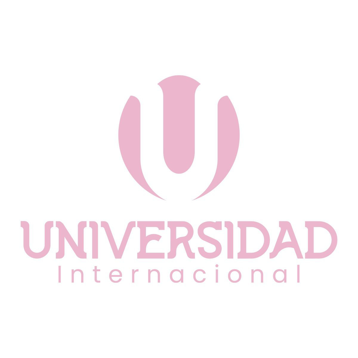 Universidad Internacional